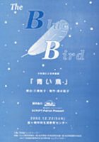 英語劇　青い鳥パンフレット
