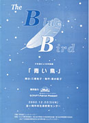 英語劇　青い鳥パンフレット